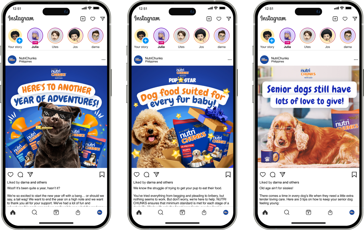 Nutri Chunks social content